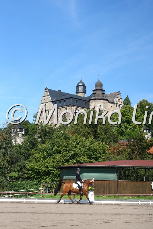 009M2085_Good lucky boy_Dressur E.JPG